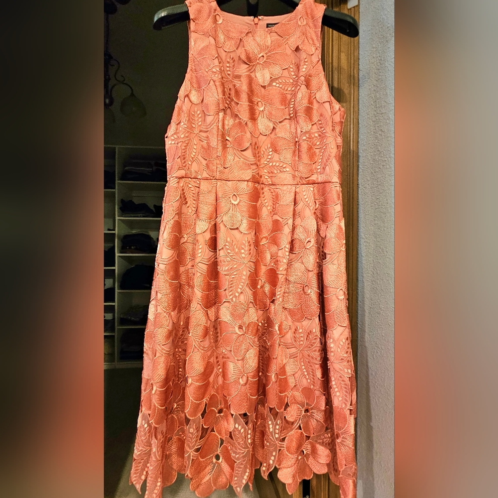 White House Black Market Tonal Gelato Pink Lace Dress Knee Length Size 12 L